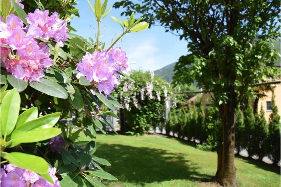 Übernachtung im Tessin - 3* Villa Siesta Park Losone 9 