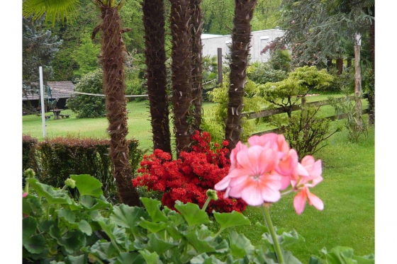 Übernachtung im Tessin - 3* Villa Siesta Park Losone 12 