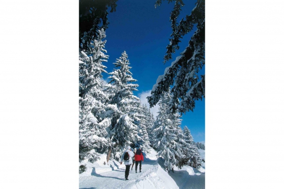 Relax Kurzurlaub - 1 Nacht im 4*-Hotel Salina Maris 16 