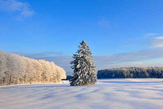 Kurzurlaub in Schaffhausen - Wanderparadies mit Rundsicht  