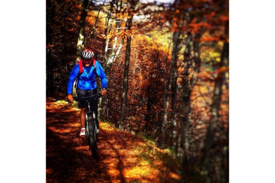 Albergo Losone MB Package - Inkl. Übernachtung und Flowtrail-Tour Mountain Bike 13 