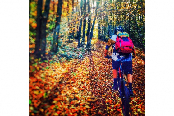 Albergo Losone MB Package - Inkl. Übernachtung und Flowtrail-Tour Mountain Bike 14 