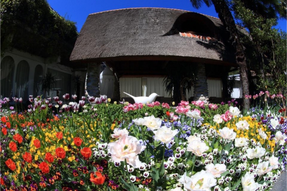 Karibik Feeling im Tessin - 1 Nacht im Hotel Albergo Losone 8 