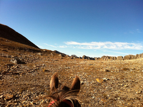 Übernachtung in der Jurte - mit Pferdeausritt und Verpflegung 5 