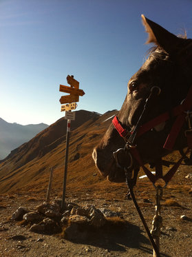 Übernachtung in der Jurte - mit Pferdeausritt und Verpflegung 6 