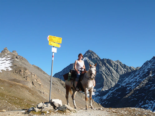 Übernachtung in der Jurte - mit Pferdeausritt und Verpflegung 7 