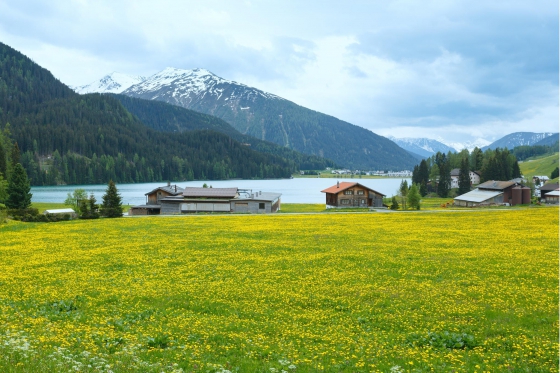 Übernachtung in Davos - inkl. 3-Gang Dinner  