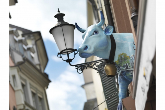 Weekend Trip in Zürich - inkl. Übernachtung und Fondueplausch 4 