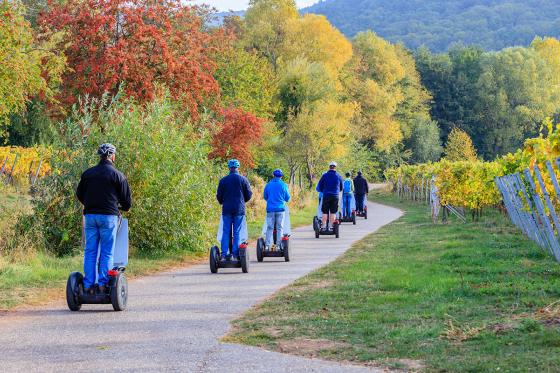 Private Segway Tour - in Genf für 2 Personen  