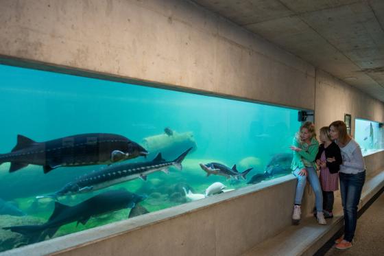 Tropenhaus Frutigen - Familieneintritt 1 