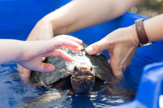Tropenhaus Frutigen - Familieneintritt 9 