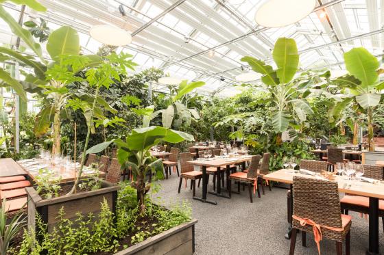 Tropenhaus Frutigen - Familieneintritt 11 