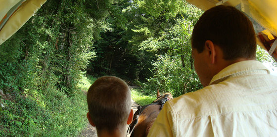 Planwagen mieten - 2 Tage im Jura 2 