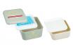 Aufbewahrungsbox Bento - Inkl. Coolpad 1
