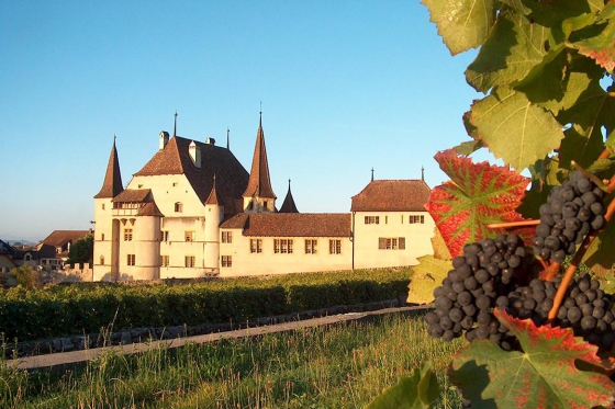 Visite & dégustation pour 2 - Avec 3 bouteilles offertes - Cave des Lauriers (NE)  