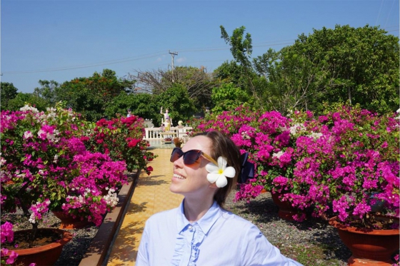 The Fly - Tortoise Brown 3 