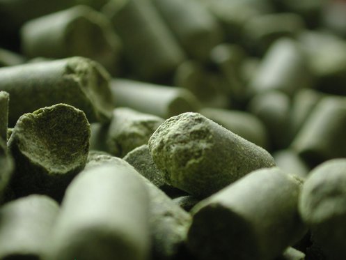 Bierbraukurs 1 (für Einsteiger) - Bier selber brauen in Zürich! 3 