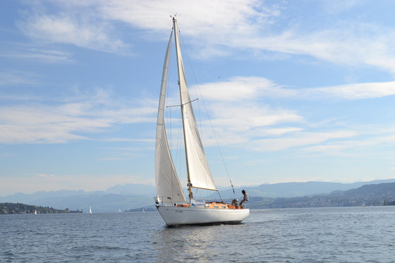 Segel Abenteuer - Segeln auf dem Zürichsee  