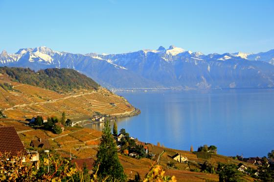 Dégustation de vins - Plus de 200 caves à choix  [article_picture_small]