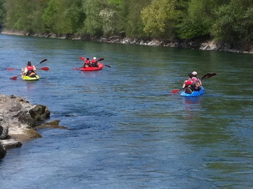Kajak Tour für 5 Personen - entlang der Aareschlaufen 5 