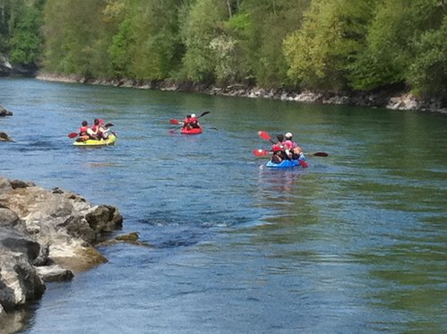 Kajak Tour für 5 Personen - entlang der Aareschlaufen 6 