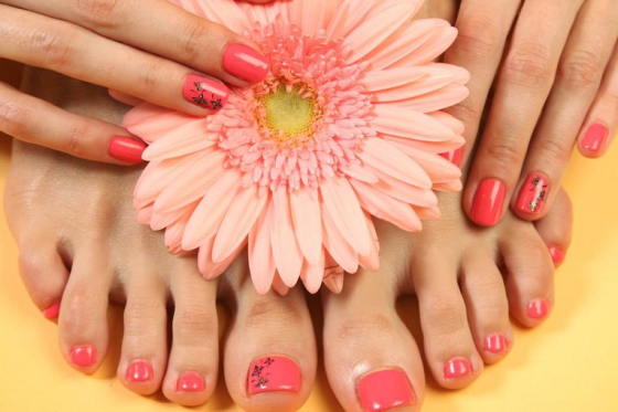 Ladies World - Wishbox - 1 Box - über 25 Erlebnisse 4 