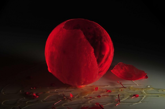 Show culinaire avec Denis Martin - 1h30 de démonstration & dégustation d'un menu de 20 plats / 1 pers 1 