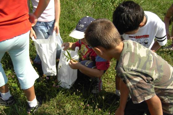 Erlebnistag für Familien - inkl. Mittagessen und Getränke 7 