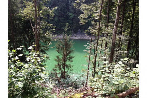 Cani-Rando - Sortie sportive avec des Huskys 5 