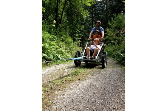 Husky et Kart - Randonnée avec attelage 3 