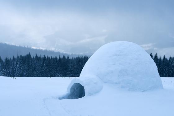 Construction d'igloo + aperitif - Adelboden 1 