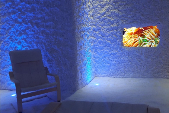 Séance d'halothérapie - 50 minutes pour 2 adultes + 2 enfants 3 