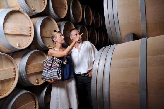 Wine-Tour à 5 - Vélo électrique & dégustation de vins 4 