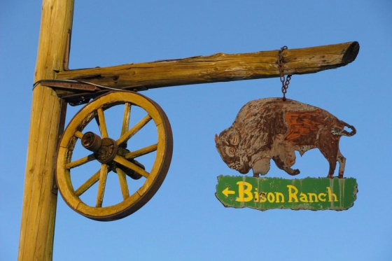 Séjour Far West au Bison Ranch - Au Près d'Orvin - 1 nuitée pour 2 pers avec petit-déjeuner 1 