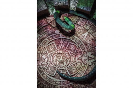 Escape Room - mit personalisierten Rätseln, 60 Minuten für 6 Personen 11 