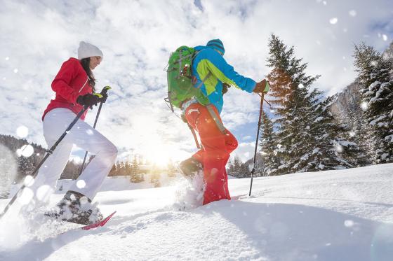 Balade en raquettes - Au clair de lune 3 