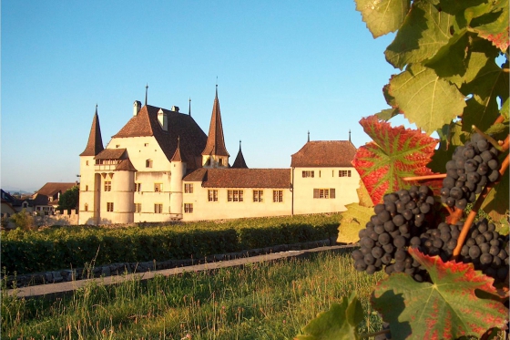 Dégustation de vin pour deux - Cave des Lauriers (NE) avec visite, apéro et 1 bouteille offerte 1 