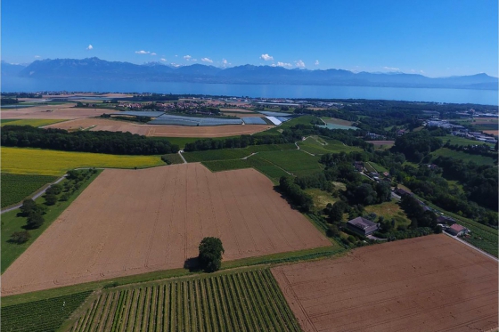 Weindegustation für zwei - Besuch in der Domaine des Remans (VD), Aperitif und Gratisflaschen 2 