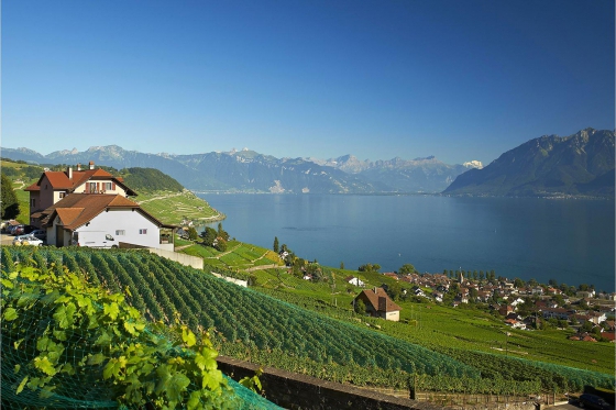 Weindegustation für zwei - Degustation (VD) inkl. Apero, Sommelier-Set, CHF 20.00 Gutschein 1 