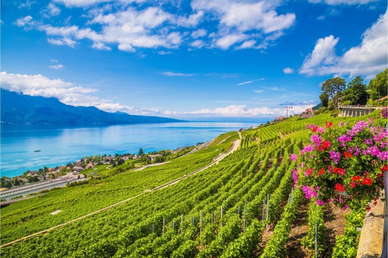 Weindegustation für zwei - Degustation (VD) inkl. Apero, Sommelier-Set, CHF 20.00 Gutschein 7 