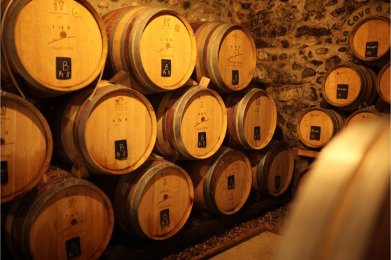 Dégustation de vin pour deux - Cave Philippe Bovet (VD) avec apéro, visite et 2 bouteilles offertes 2 