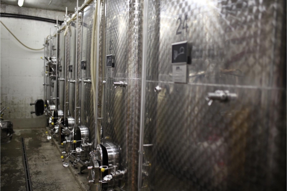 Dégustation de vin pour deux - Cave Philippe Bovet (VD) avec apéro, visite et 2 bouteilles offertes 4 