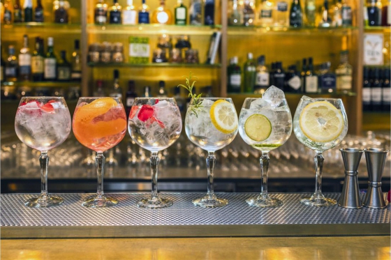 Dégustation de Gin - à Zürich 1 