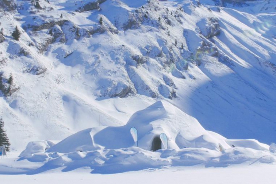 Winter Edition - Wishbox - 1 coffret - plus de 25 expériences 2 