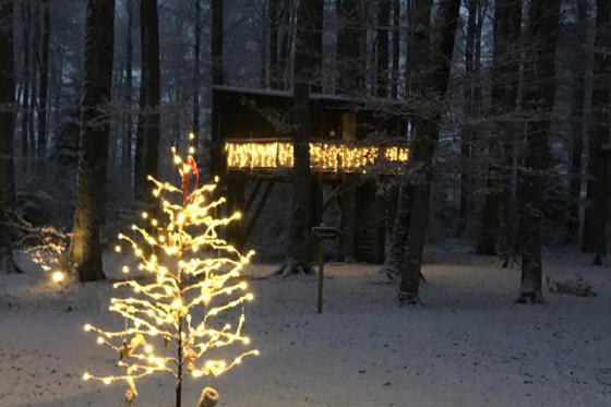 Nuitée dans une cabane - Séjour hors du temps pour 2 personnes, avec petit déjeuner 4 