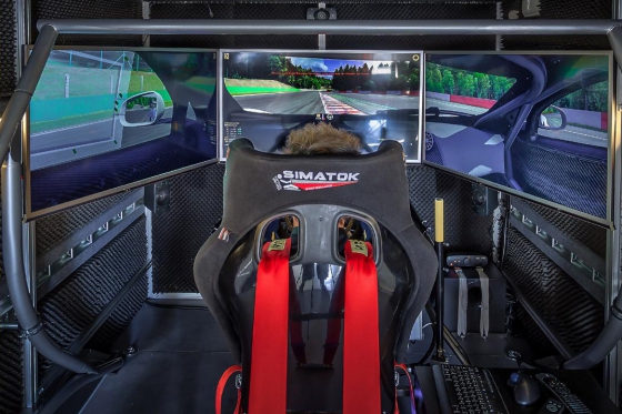 Simulateur de course automobile - Séance de 30 minutes avec le simulateur Simatok pour 1 personne  