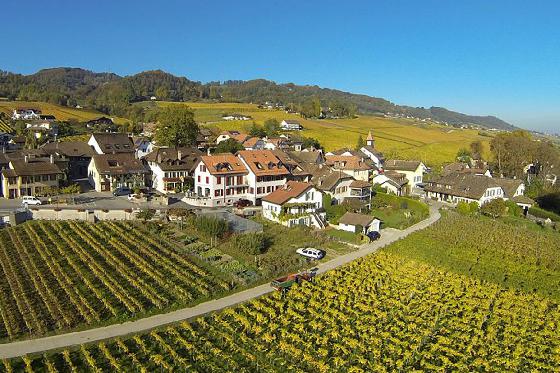Dégustation de vin pour deux - Domaine de Mont sur Rolle ou de Tartegnin (VD) 2 