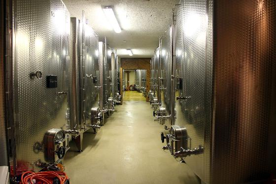 Dégustation de vin pour deux - Domaine de Mont sur Rolle ou de Tartegnin (VD) 4 