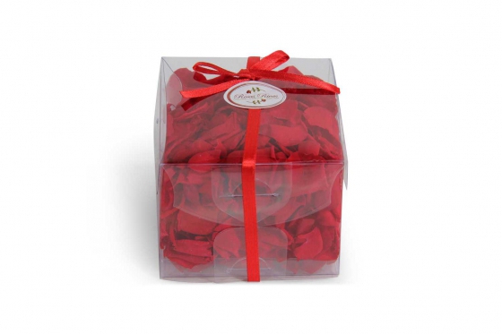 Ewige Rosenblätter - rot  