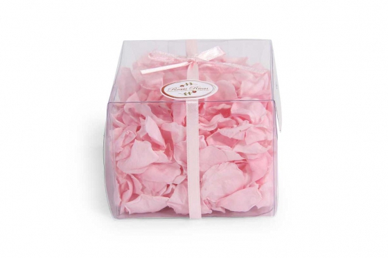 Pétales de roses éternelles - rose  